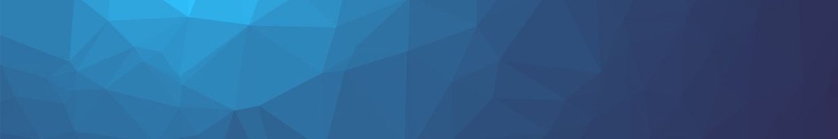 SWIOZ Review: My Honest Verdict As A Actual User Bormann